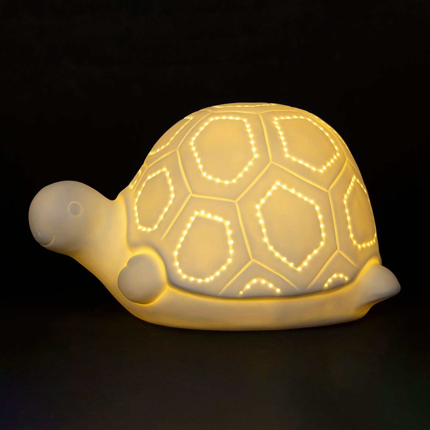 TURTLE LIGHT